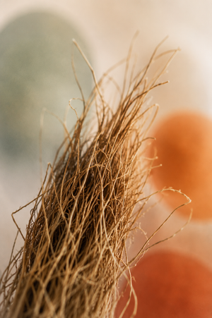 Vetiver